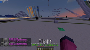 NoCheatMinus Demonstration