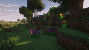 some plants