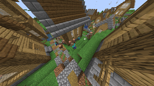 Villagers Fighting