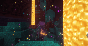 Warped Forest