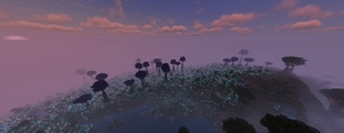 javaw_dhAr948L13.jpg