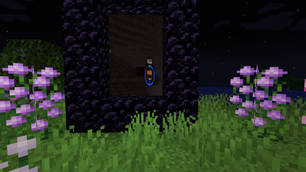 Thinking with portals
