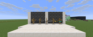 Sword Variants
