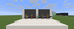 More Sword Variants
