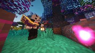optimized_2025-10-17_00.23.41.png