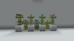 Armor Showcase