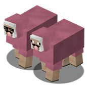 Pink Sheep