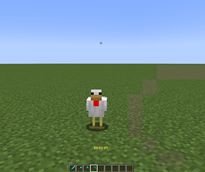 boti_timer.png