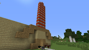 Left side