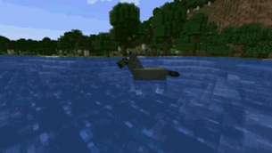 horse swim.gif