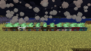 Copper Campfires