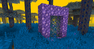 Forest of Echowood
