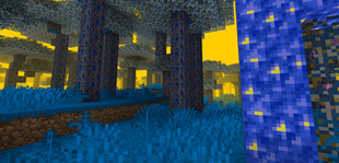 End of Echowood (flying forest)
