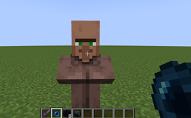 Capturing this Villager