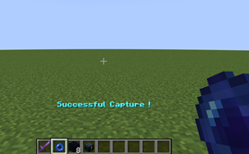 Villager Captured inside the Cryo Gem
