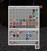 Invsee Inventory 1