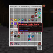 Invsee inventory 2