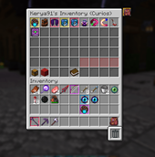 Invsee inventory 4