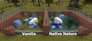 Comparison