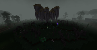 Weird-looking tree, might want to stay away from that one