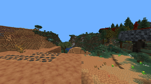 amazing desert and forest