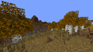 autum forest
