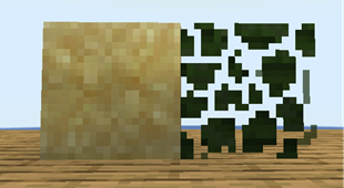 Dead Leaves And Temperate Sand.png
