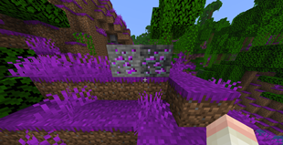 Screenshot 2025-10-18 at 15.24.09.png