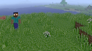 Herobrine look in my soul