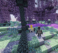 Screenshot (12).png