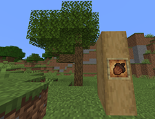 Acorn.png