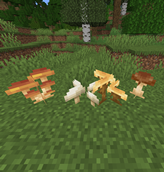 Mushrooms.png