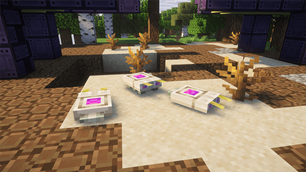 Puter Bugs.png