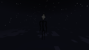 VOID
