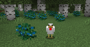 blueberries-and-chickens.png