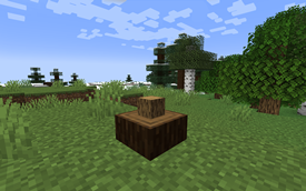(Spruce) Chopping Block