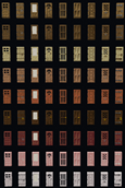Door Showcase.png
