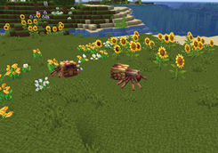 sunflowers.png