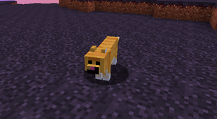 "Smirk Cat" mob