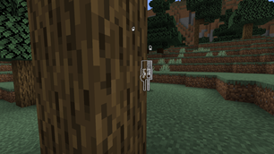 Showing xray on skeleton