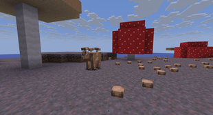 Mooshroom and mushrooms