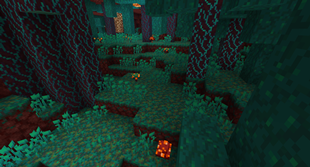 Mushrooms