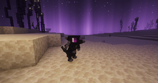Baby ender dragon
