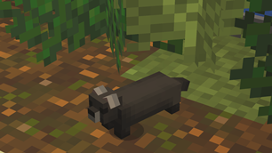 European Mink