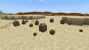 Natural occuring cactus crops