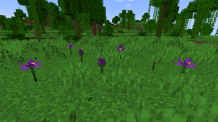 Natural occuring flower crops