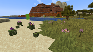 Natural occuring cactus and flower crops