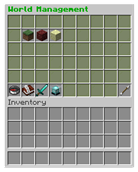World Management