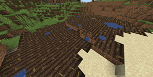 test picture