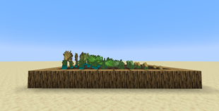 Growth stages